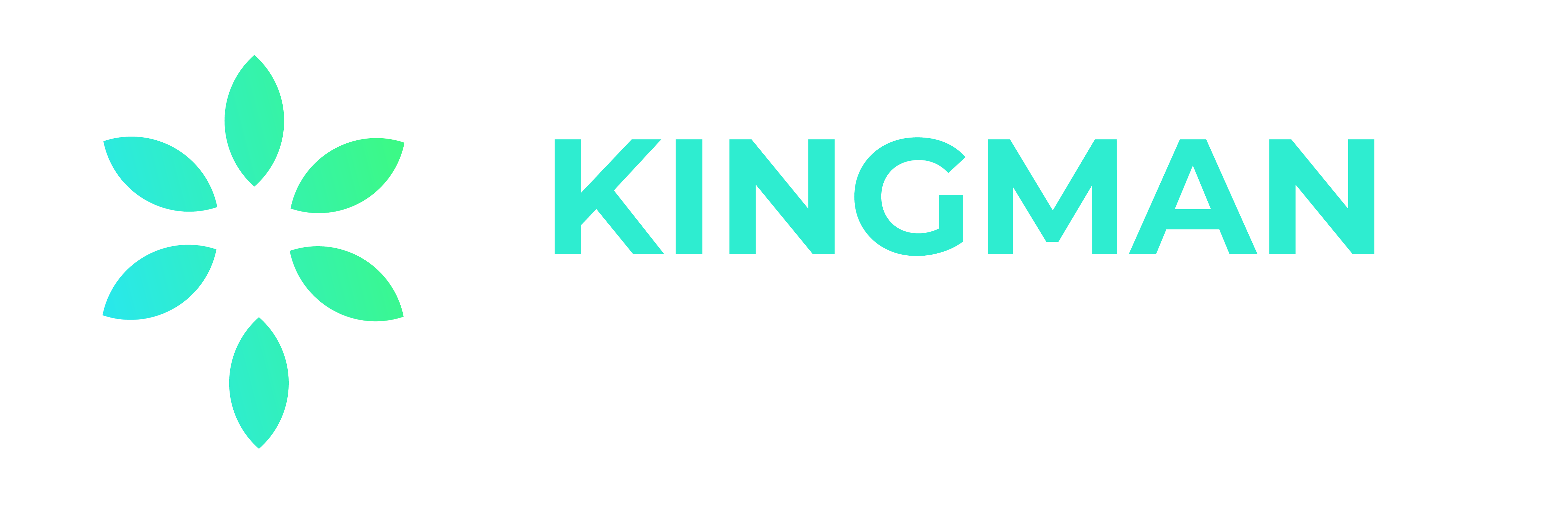Kingman Turquoise & Jewelry
